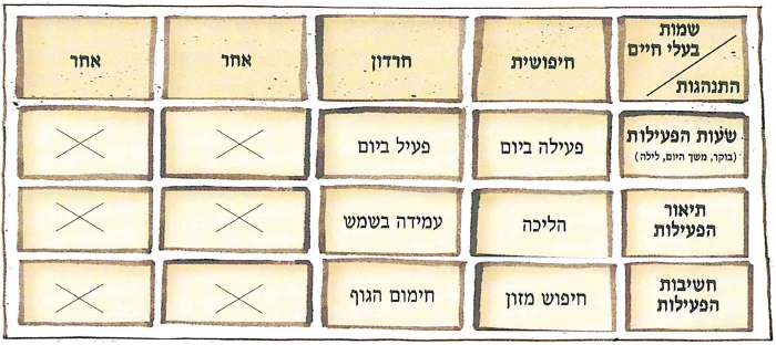 (בספר 6 תמונות, היעזר במנחה)